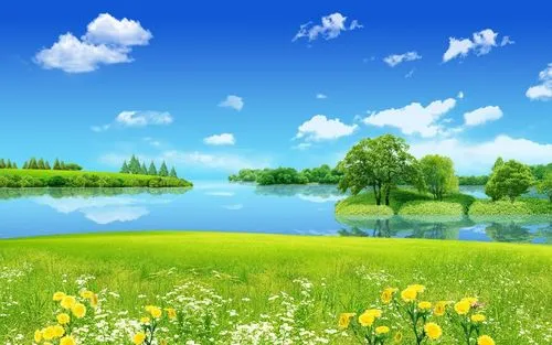 精密全自动节能